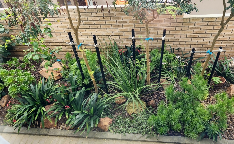 3 Bedroom Property for Sale in Monte Christo Western Cape